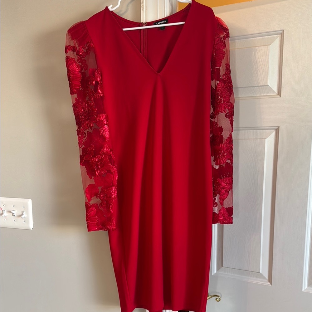 Express Holiday Red Lace Sleeve Dress